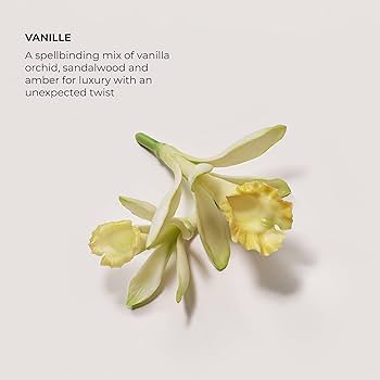 LAURA MERCIER VANILLE オードパルファム 50mL Signature Vanille Eau de Parfum | Laura Mercier